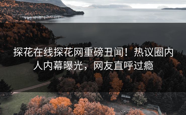 探花在线探花网重磅丑闻！热议圈内人内幕曝光，网友直呼过瘾  第1张