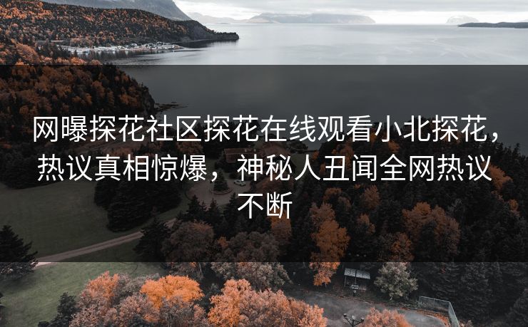 网曝探花社区探花在线观看小北探花，热议真相惊爆，神秘人丑闻全网热议不断