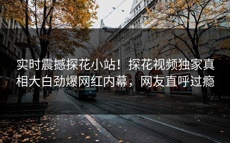 实时震撼探花小站！探花视频独家真相大白劲爆网红内幕，网友直呼过瘾