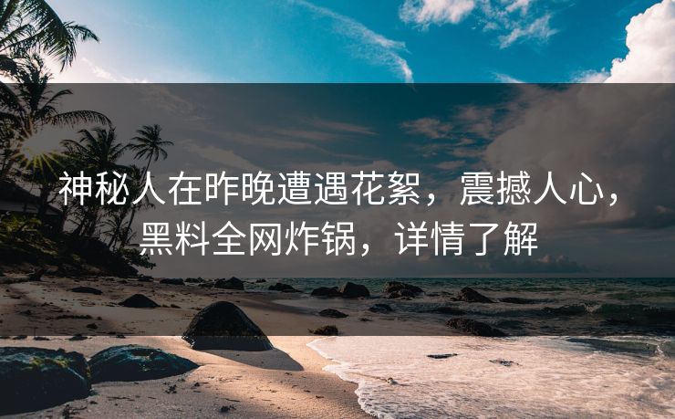 神秘人在昨晚遭遇花絮，震撼人心，黑料全网炸锅，详情了解  第1张