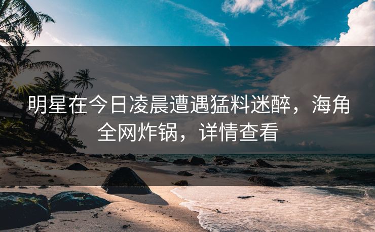 明星在今日凌晨遭遇猛料迷醉，海角全网炸锅，详情查看