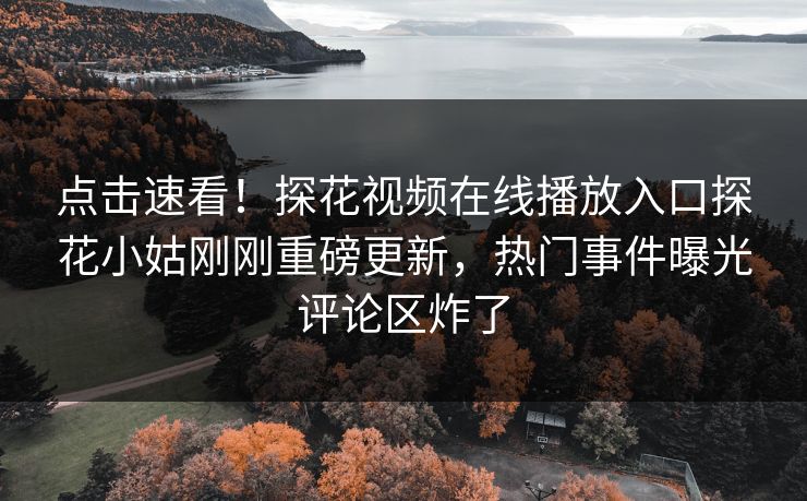 点击速看！探花视频在线播放入口探花小姑刚刚重磅更新，热门事件曝光评论区炸了
