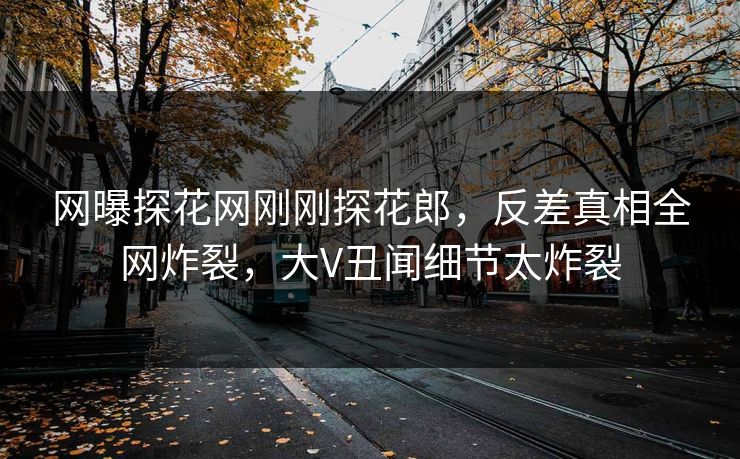 网曝探花网刚刚探花郎，反差真相全网炸裂，大V丑闻细节太炸裂