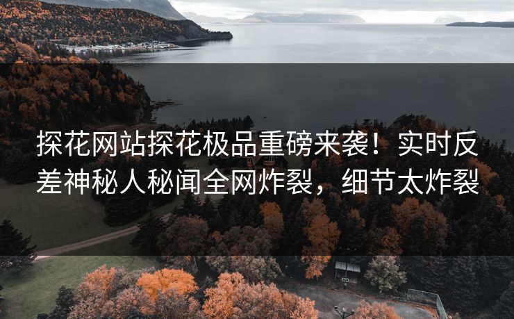 探花网站探花极品重磅来袭！实时反差神秘人秘闻全网炸裂，细节太炸裂