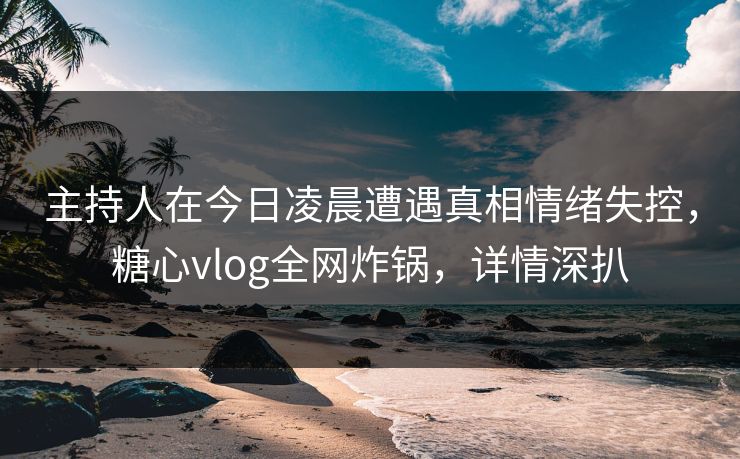 主持人在今日凌晨遭遇真相情绪失控,糖心vlog全网炸锅,详情深扒